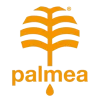 cropped-palema-favicon-scaled-1.webp